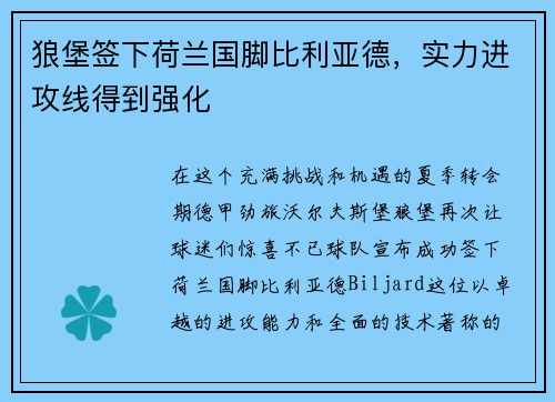 狼堡签下荷兰国脚比利亚德，实力进攻线得到强化